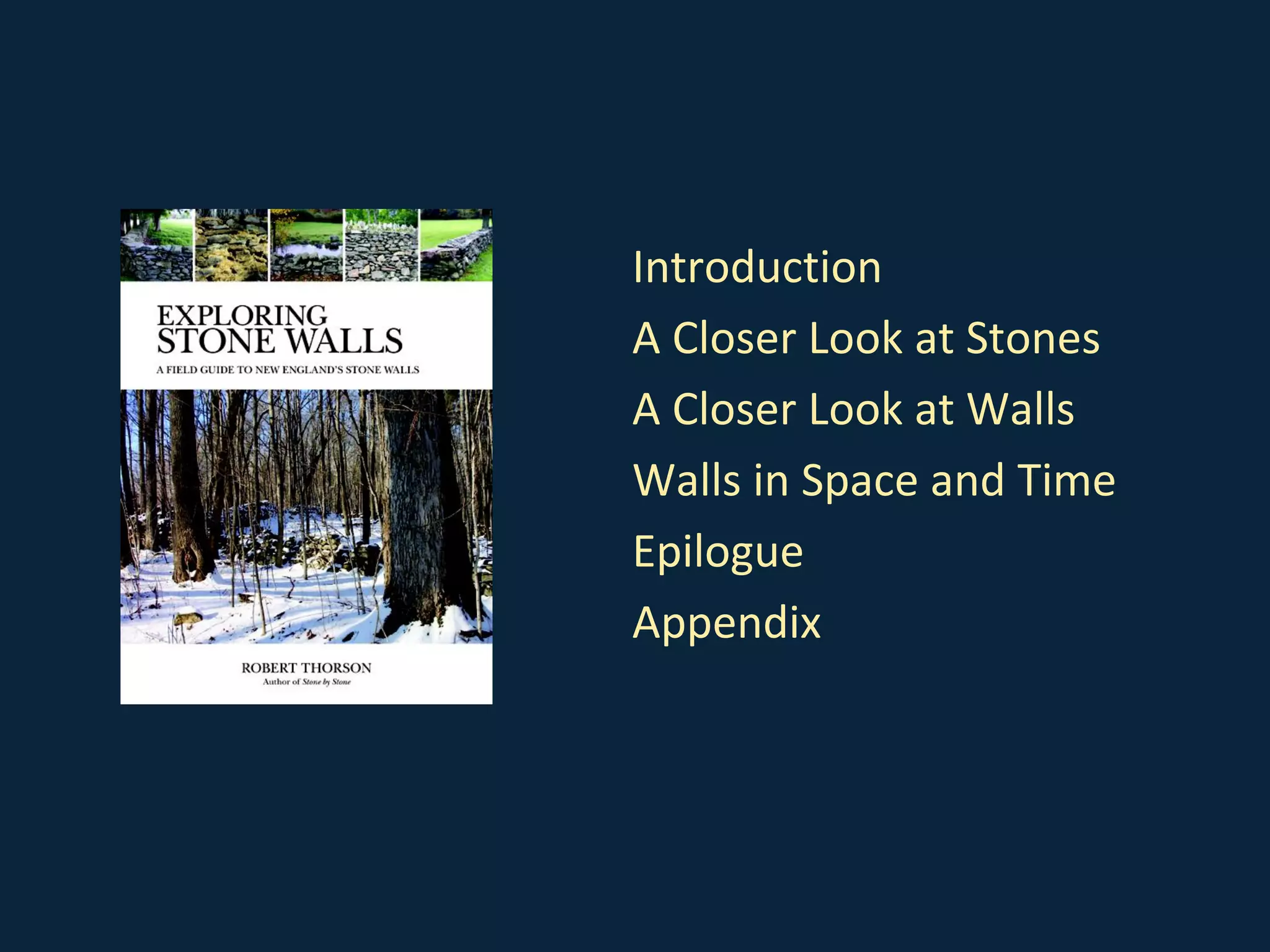 Introduction
A Closer Look at Stones
A Closer Look at Walls
Walls in Space and Time
Epilogue
Appendix
 