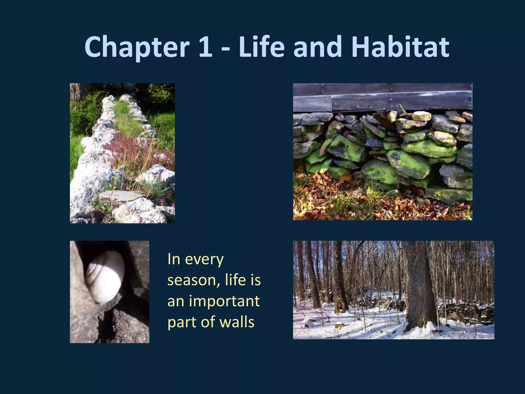 Chapter 1 - Life and Habitat
In every
season, life is
an important
part of walls
 