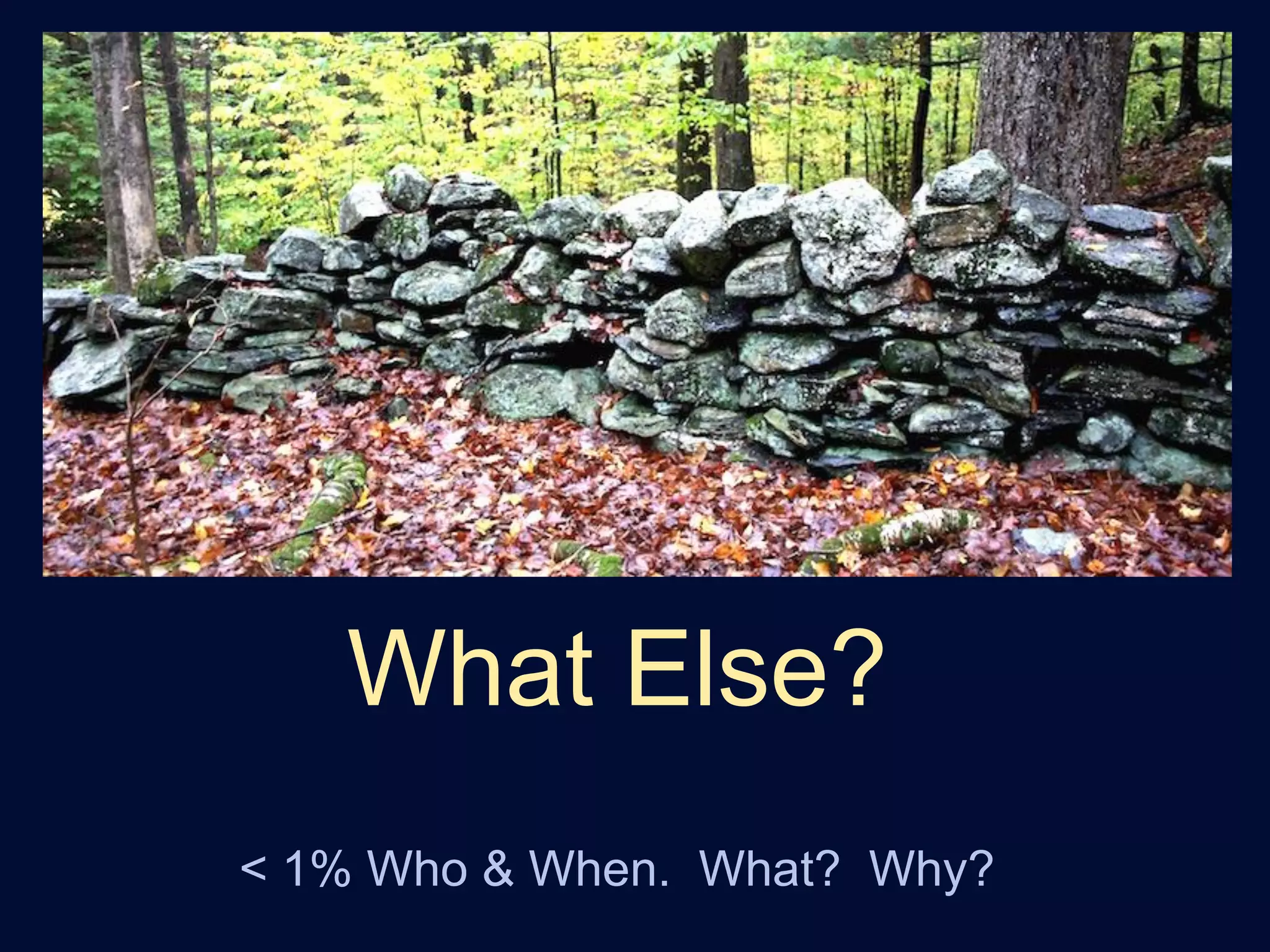 What Else?
< 1% Who & When. What? Why?
 