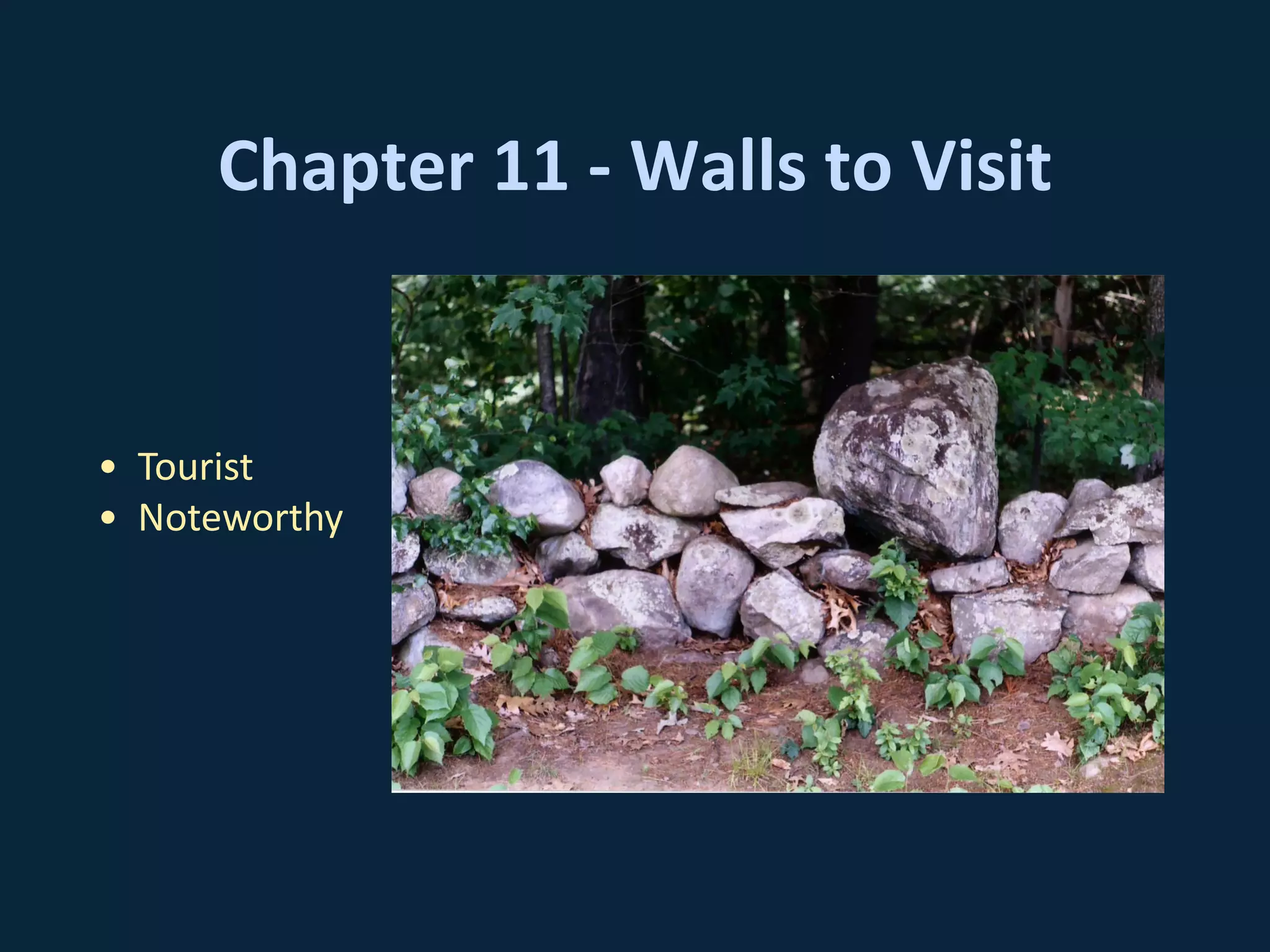 Chapter 11 - Walls to Visit
• Tourist
• Noteworthy
 