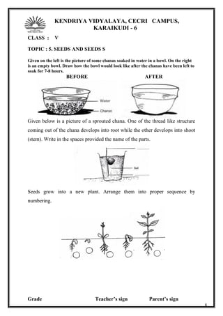 KENDRIYA VIDYALAYA, CECRI CAMPUS,
KARAIKUDI - 6
CLASS : V
TOPIC : 5. SEEDS AND SEEDS S
Given on the left is the picture of some chanas soaked in water in a bowl. On the right
is an empty bowl. Draw how the bowl would look like after the chanas have been left to
soak for 7-8 hours.
BEFORE AFTER
Given below is a picture of a sprouted chana. One of the thread like structure
coming out of the chana develops into root while the other develops into shoot
(stem). Write in the spaces provided the name of the parts.
Seeds grow into a new plant. Arrange them into proper sequence by
numbering.
Grade Teacher’s sign Parent’s sign
8
 