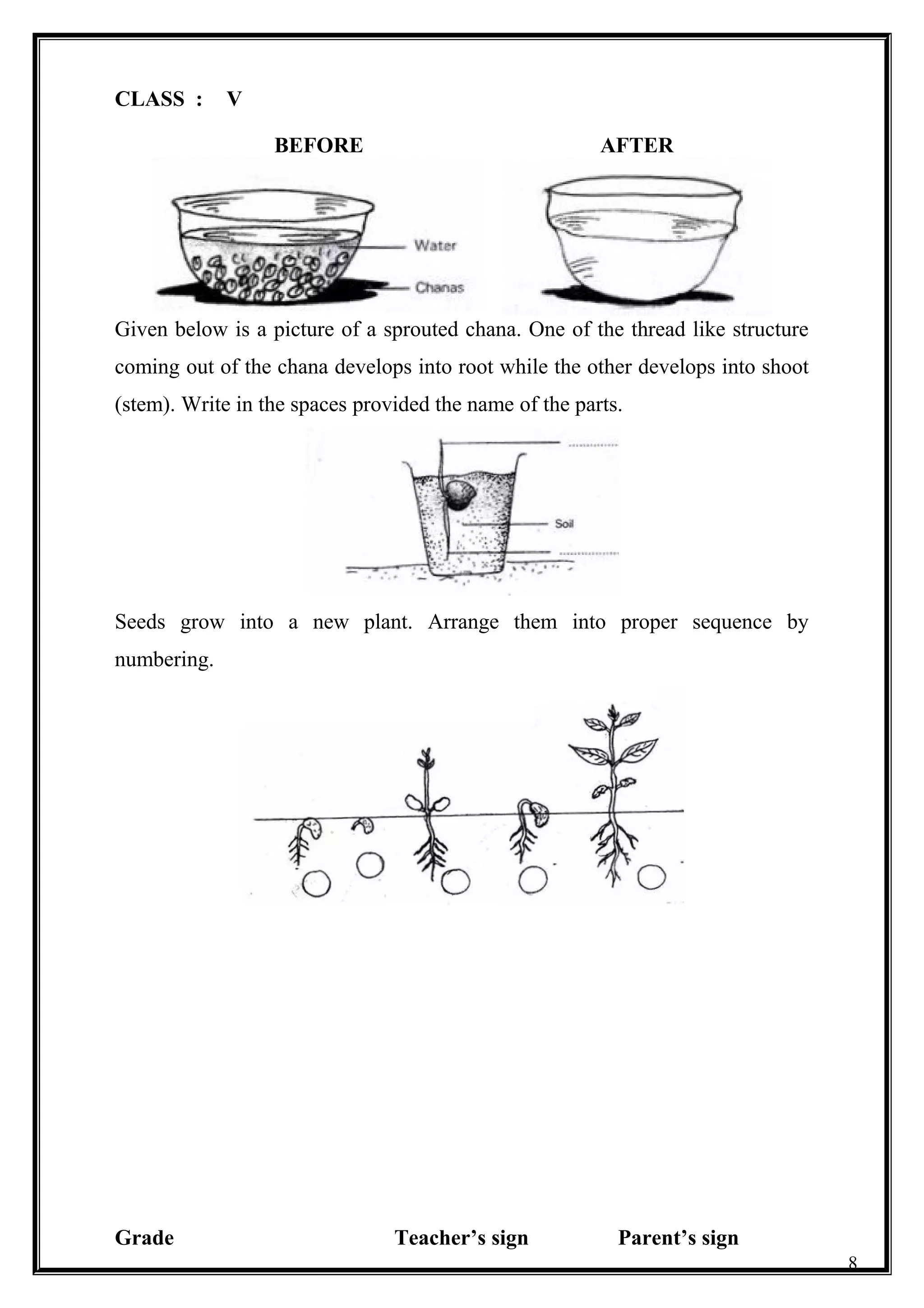 CLASS : V
BEFORE AFTER
Given below is a picture of a sprouted chana. One of the thread like structure
coming out of the chana develops into root while the other develops into shoot
(stem). Write in the spaces provided the name of the parts.
Seeds grow into a new plant. Arrange them into proper sequence by
numbering.
Grade Teacher’s sign Parent’s sign
8
 