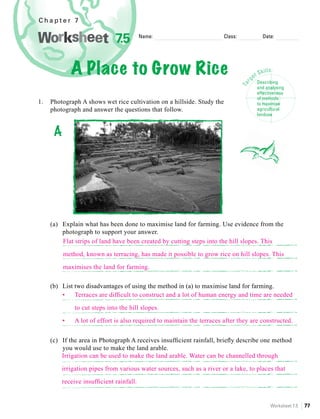 Chapter 7


                               7.5         Name:                         Class:               Date:




               A Place to Grow Rice                                                  ge
                                                                                        t   Skills
                                                                                                     :

                                                                                            Describing




                                                                                     r
                                                                                  Ta
                                                                                            and analysing
                                                                                            effectiveness
                                                                                            of methods
1.   Photograph A shows wet rice cultivation on a hillside. Study the                       to maximise
     photograph and answer the questions that follow.                                       agricultural
                                                                                            landuse



      A




     (a) Explain what has been done to maximise land for farming. Use evidence from the
         photograph to support your answer.
         Flat strips of land have been created by cutting steps into the hill slopes. This

          method,	known	as	terracing,	has	made	it	possible	to	grow	rice	on	hill	slopes.	This	

          maximises the land for farming.

     (b) List two disadvantages of using the method in (a) to maximise land for farming.
         •	 Terraces	are	difficult	to	construct	and	a	lot	of	human	energy	and	time	are	needed	

               to cut steps into the hill slopes.

          •	   A	lot	of	effort	is	also	required	to	maintain	the	terraces	after	they	are	constructed.


	    (c)	 If	the	area	in	Photograph	A	receives	insufficient	rainfall,	briefly	describe	one	method	
          you would use to make the land arable.
          Irrigation can be used to make the land arable. Water can be channelled through
          irrigation	pipes	from	various	water	sources,	such	as	a	river	or	a	lake,	to	places	that	

          receive	insufficient	rainfall.


                                                                                                  Worksheet 7.5   77
 