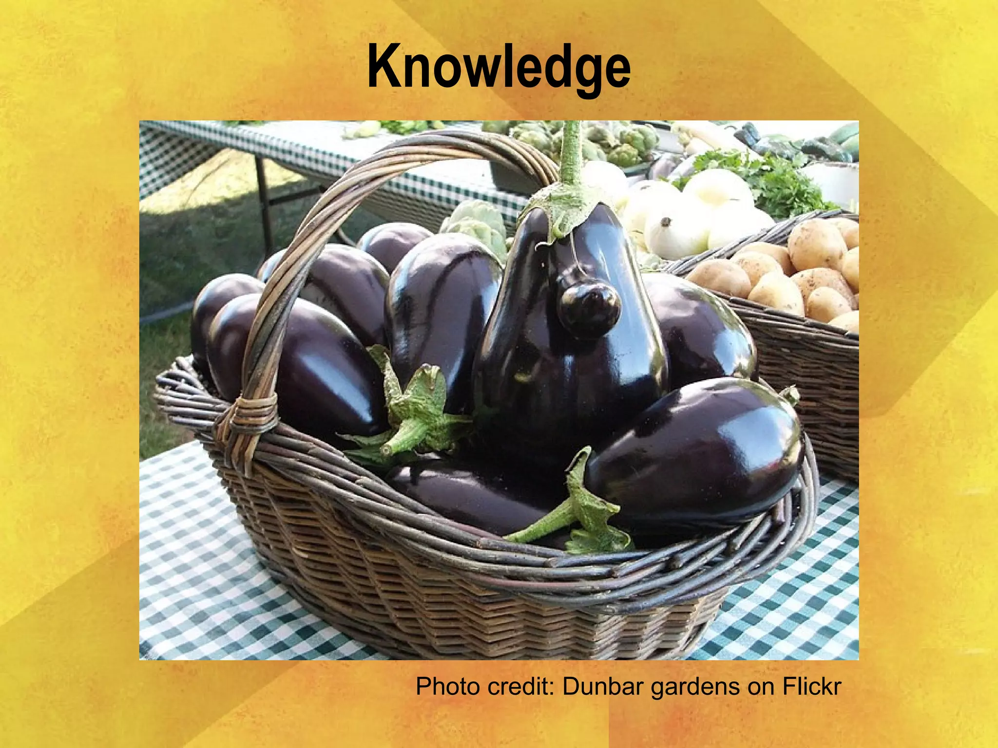 Knowledge
Photo credit: Dunbar gardens on Flickr
 