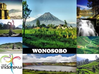 WONOSOBO
 