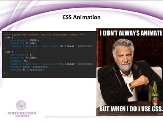 CSS Animation
 