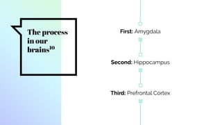 The process
in our
brains10
First: Amygdala
Second: Hippocampus
Third: Prefrontal Cortex
 