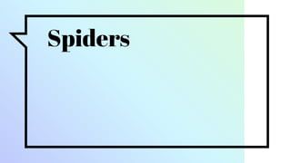 Spiders
 