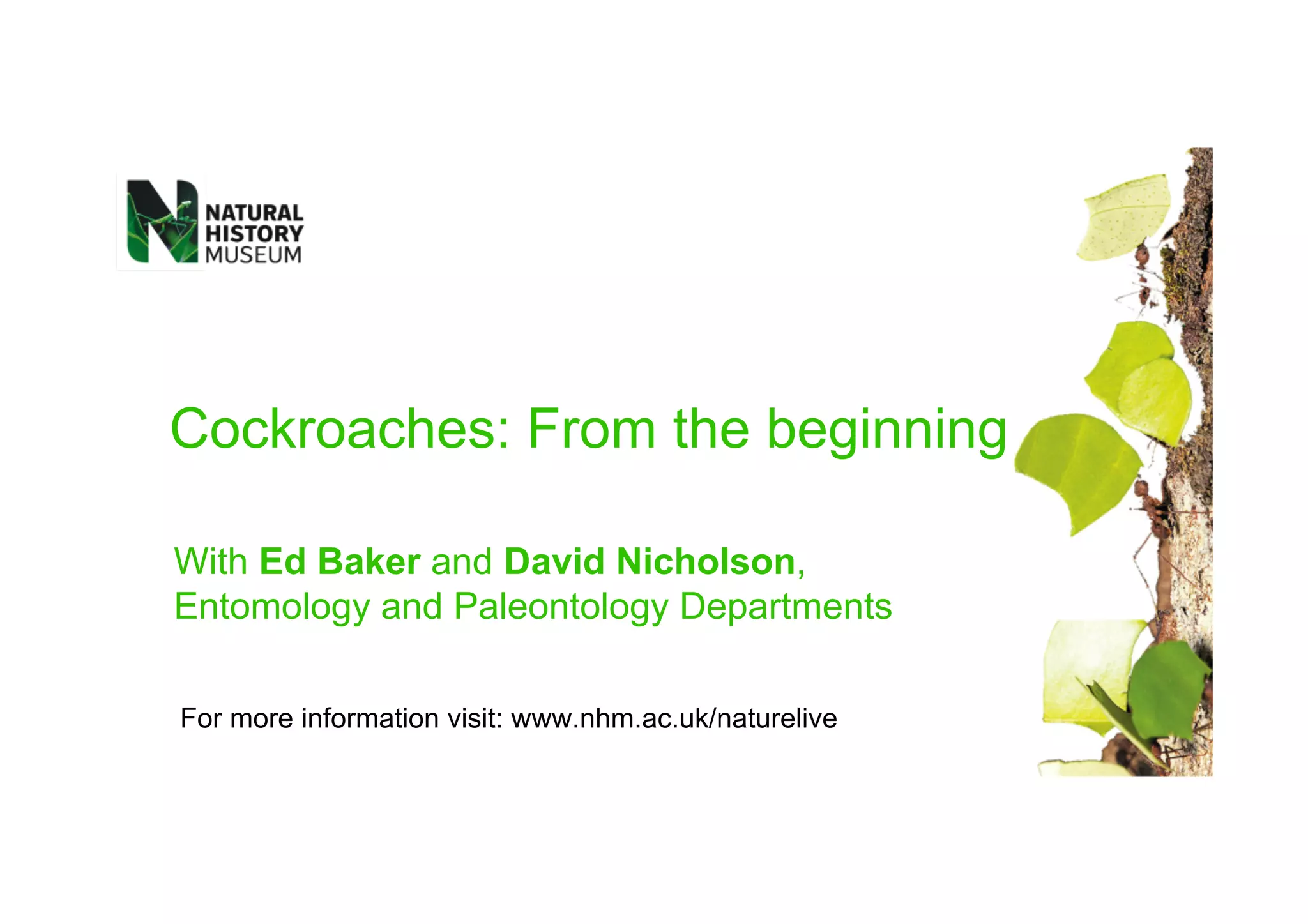 Cockroaches: From the beginning
With Ed Baker and David Nicholson,
Entomology and Paleontology Departments
For more information visit: www.nhm.ac.uk/naturelive