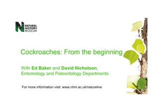 Cockroaches: From the beginning

With Ed Baker and David Nicholson,
Entomology and Paleontology Departments

For more information visit: www.nhm.ac.uk/naturelive
 