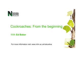 Cockroaches: From the beginning

With Ed Baker



For more information visit: www.nhm.ac.uk/naturelive
 