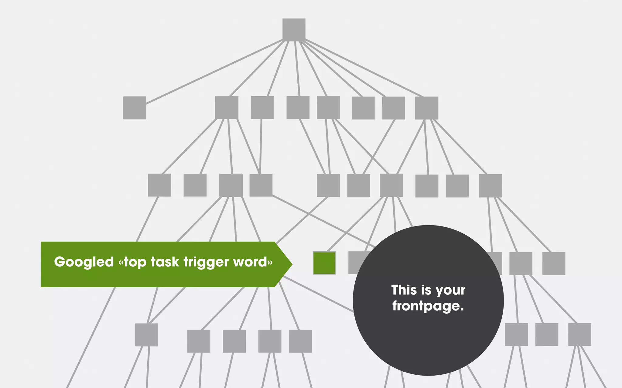 This is your
frontpage.
Googled «lung cancer»Googled «mcgovern long neck»Googled «eu research funding»Googled «top task trigger word»
 
