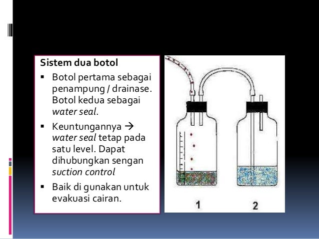 wsd wsd