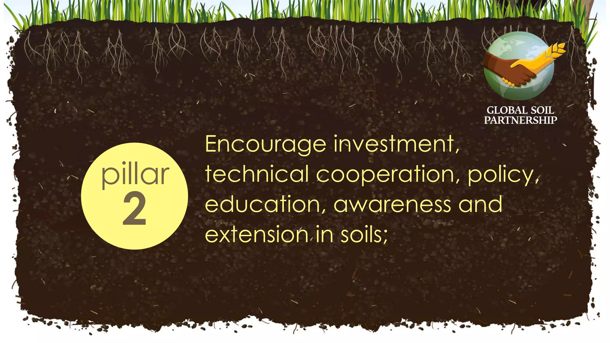 Encourage investment,
technical cooperation, policy,
education, awareness and
extension in soils;
pillar
2