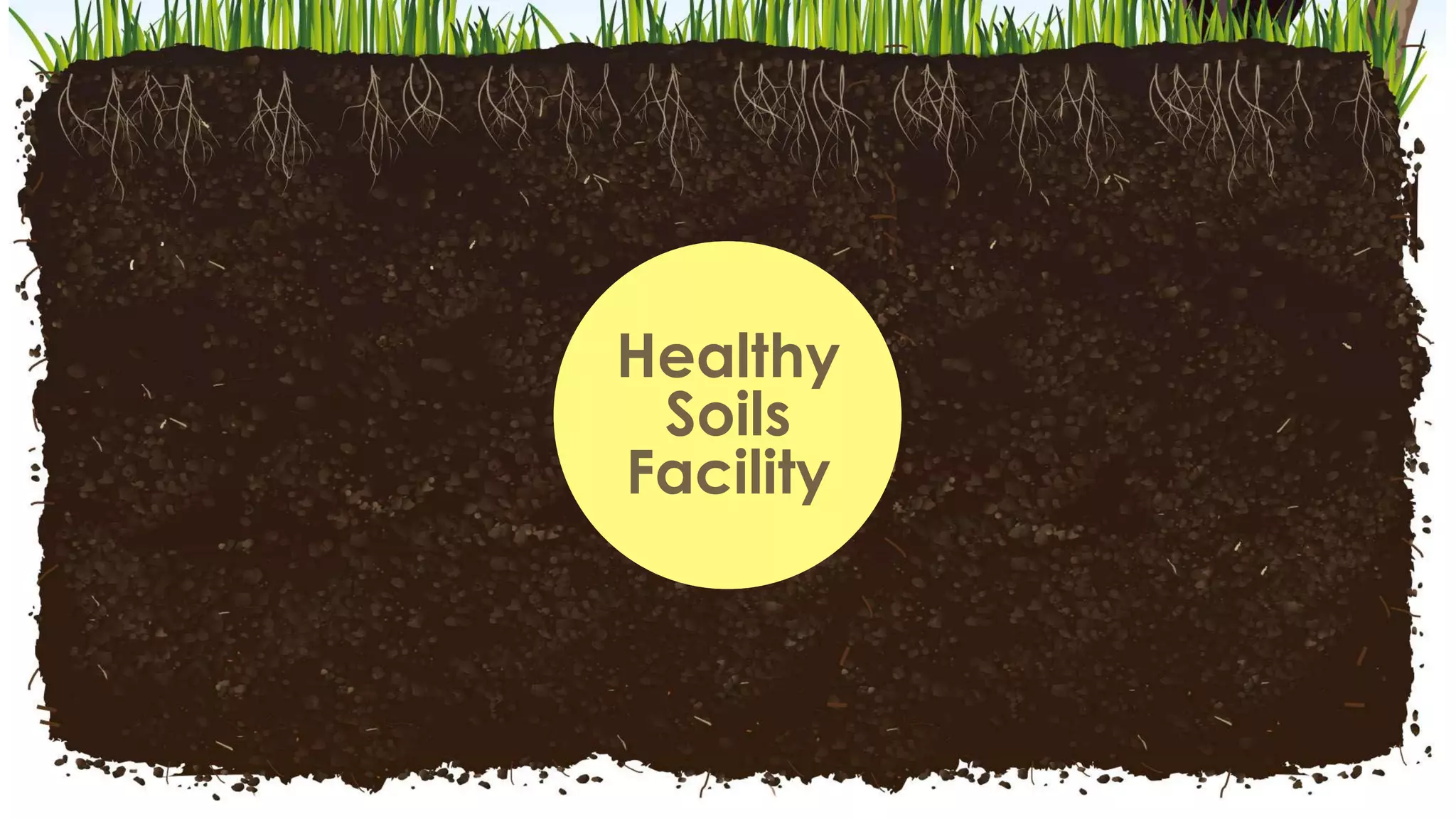 Healthy
Soils
Facility