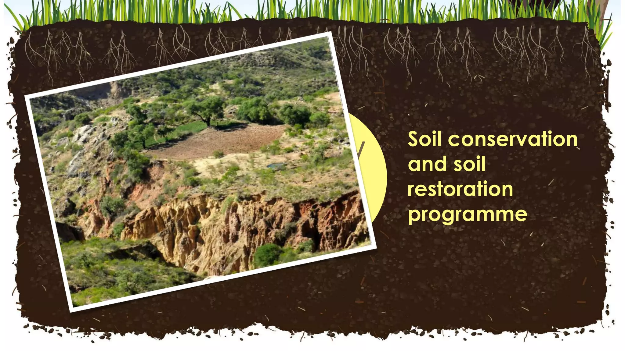 Healthy
Soil
Facility
Soil conservation
and soil
restoration
programme