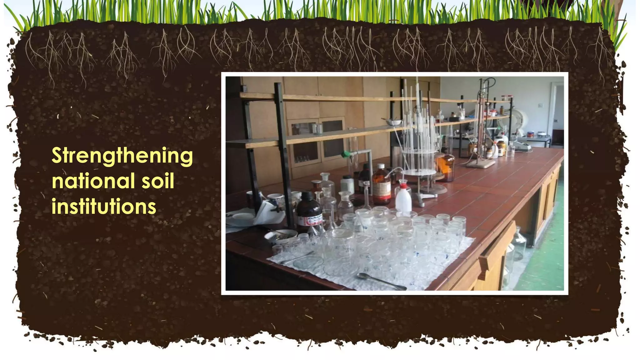 Healthy
Soil
Facility
Strengthening
national soil
institutions