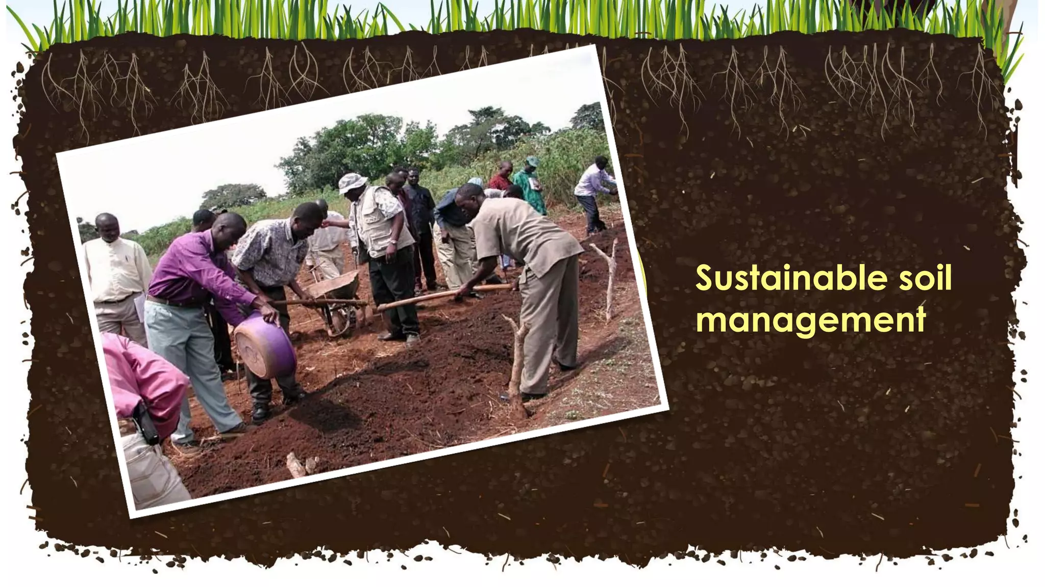 Healthy
Soil
Facility
Sustainable soil
management