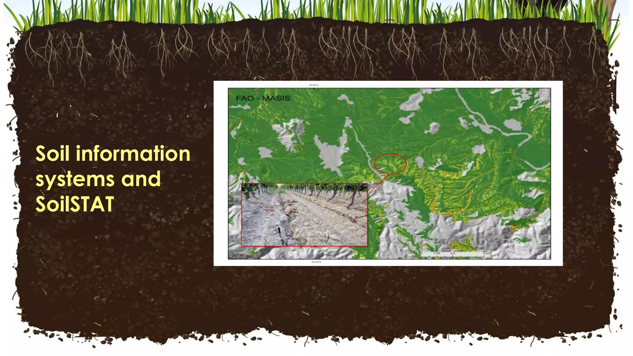Healthy
Soil
Facility
Soil information
systems and
SoilSTAT
