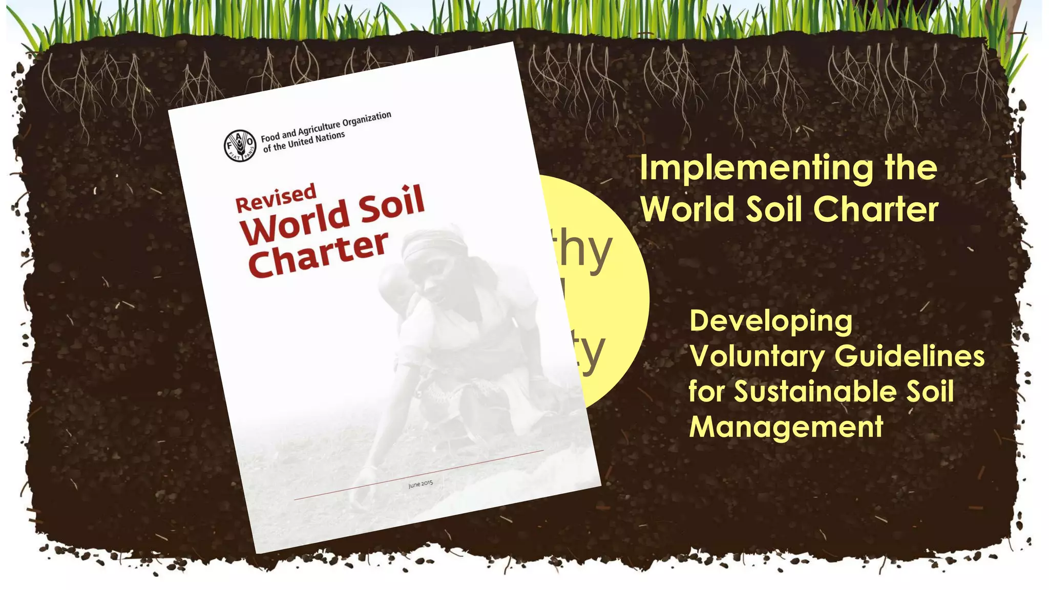 Healthy
Soil
Facility
Implementing the
World Soil Charter
Developing
Voluntary Guidelines
for Sustainable Soil
Management