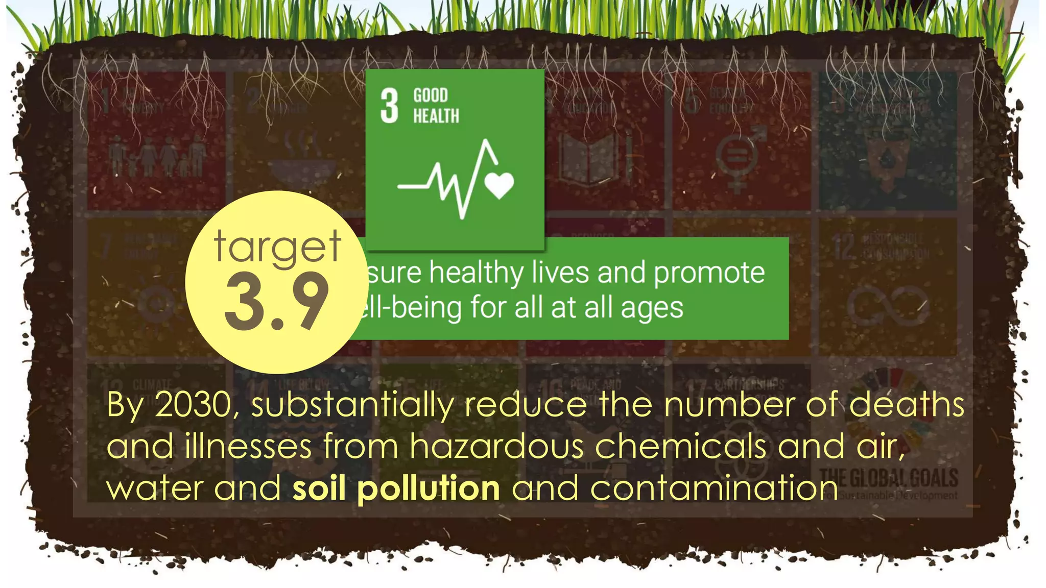 By 2030, substantially reduce the number of deaths
and illnesses from hazardous chemicals and air,
water and soil pollution and contamination
target
3.9