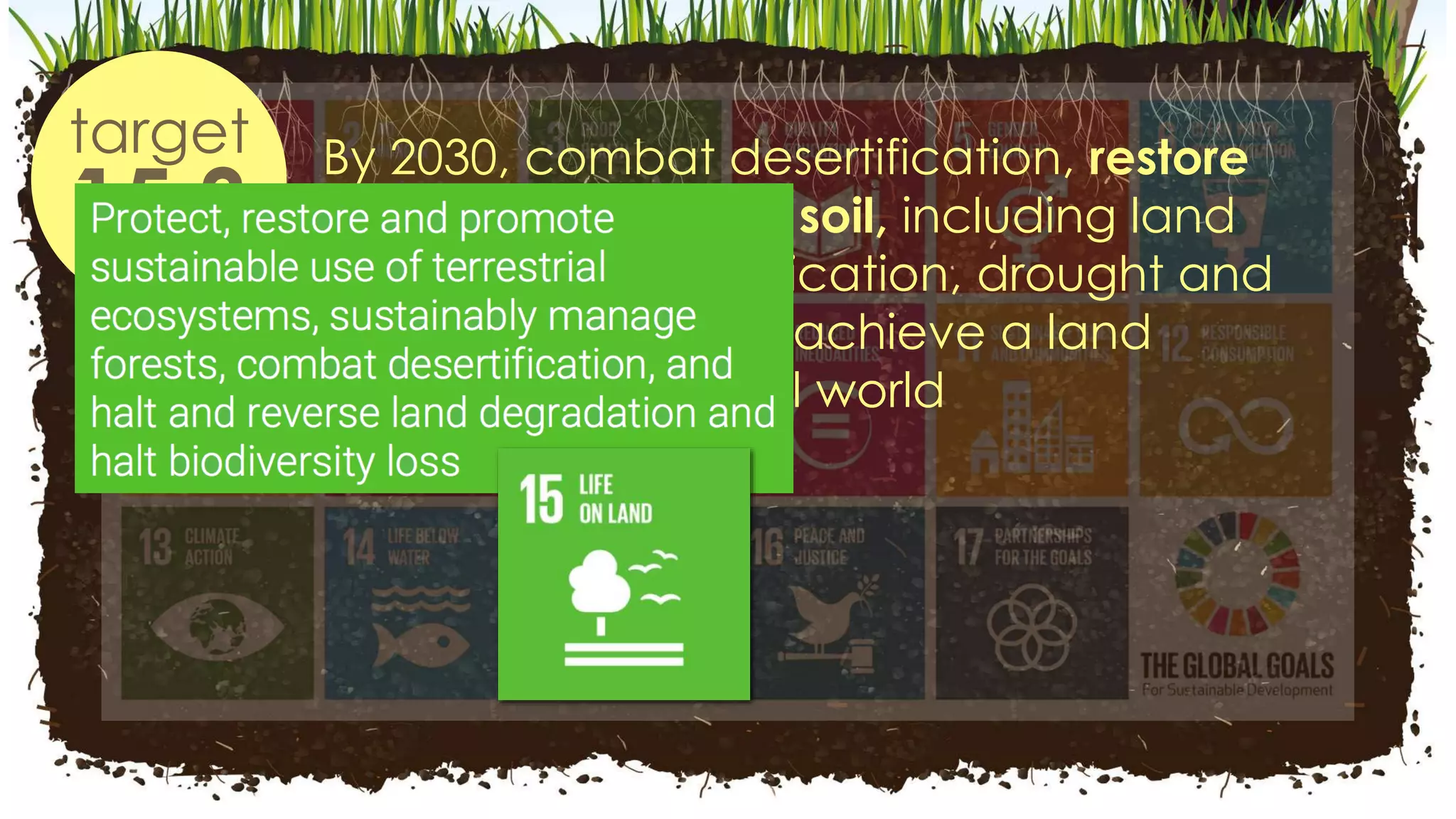 By 2030, combat desertification, restore
degraded land and soil, including land
affected by desertification, drought and
floods, and strive to achieve a land
degradation-neutral world
target
15.3