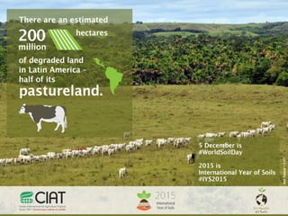 #WorldSoilDay / There are an estimated 200 million hectares of degraded land in Latin America – half its pastureland. 