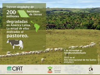 #WorldSoilDay / 200 millones de hectáreas son degradados en América Latina