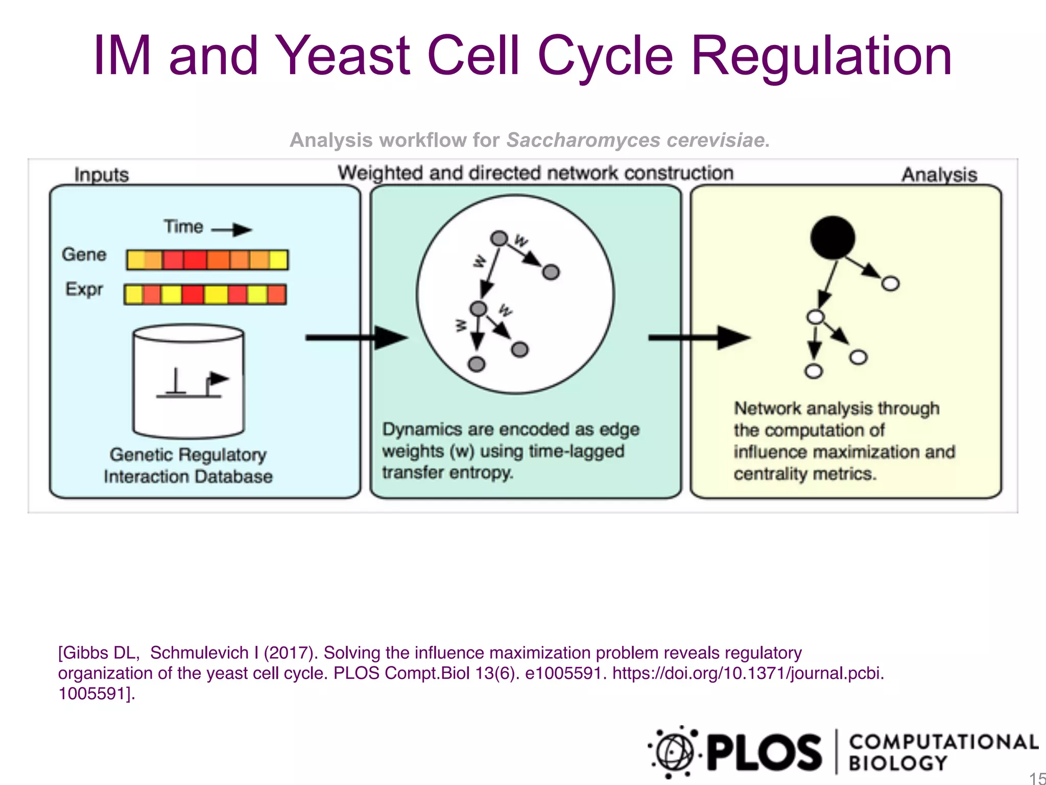Analysis workflow for Saccharomyces cerevisiae.
IM and Yeast Cell Cycle Regulation
[Gibbs DL, Schmulevich I (2017). Solving the influence maximization problem reveals regulatory
organization of the yeast cell cycle. PLOS Compt.Biol 13(6). e1005591. https://doi.org/10.1371/journal.pcbi.
1005591].
 
