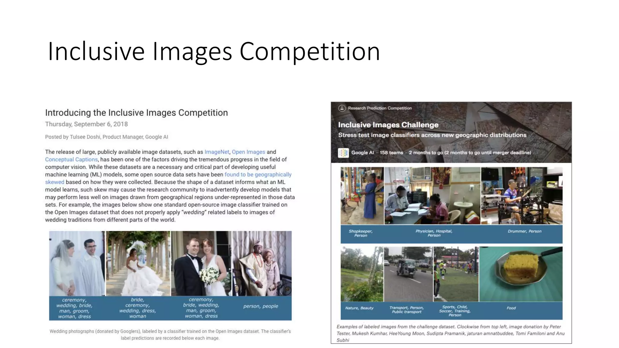 Inclusive Images Competition
 