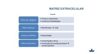 MATRIZ EXTRACELULAR
 