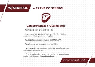 A CARNE DO SENEPOL
www.wsenepol.com.br
Características e Qualidades:
• Marmoreio com grau entre 3 e 5;
• Espessura de gordura com padrão 3 - desejado
pelos frigoríﬁcos para exportação;
• Maciez atestada por estudos da EMBRAPA;
• Rendimento de carcaça acima de 56%;
• pH neutro, de acordo com as exigências do
mercado internacional;
• Concetração de carne no posterior, garantindo
maior quantidades de cortes nobres.
 