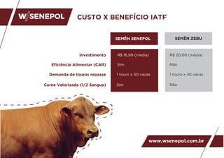 CUSTO X BENEFÍCIO IATF
www.wsenepol.com.br
SEMÊN SENEPOL
R$ 16,90 (média)
Sim
Sim
1 touro x 50 vacas
R$ 20,00 (média)
Não
1 touro x 30 vacas
Não
SEMÊN ZEBU
Investimento
Carne Valorizada (1/2 Sangue)
Demanda de touros repasse
Eficiência Alimentar (CAR)
 