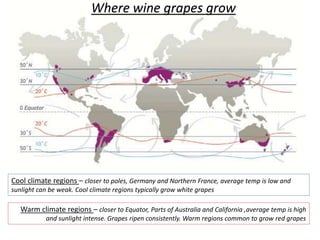 Where wine grapes grow
Cool climate regions – closer to poles, Germany and Northern France, average temp is low and
sunlight can be weak. Cool climate regions typically grow white grapes
Warm climate regions – closer to Equator, Parts of Australia and California ,average temp is high
and sunlight intense. Grapes ripen consistently. Warm regions common to grow red grapes
 
