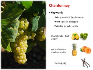 Chardonnay
• Keyword:
• Cold: green fruit (apple,lemon
•Warm : peach, pineapple
•Potential for oak: vanilla
Cold climate – high
acidity
warm climate –
medium acidity
Vanilla (oak)
 