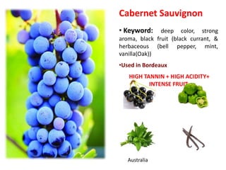 Cabernet Sauvignon
• Keyword: deep color, strong
aroma, black fruit (black currant, &
herbaceous (bell pepper, mint,
vanilla(Oak))
•Used in Bordeaux
HIGH TANNIN + HIGH ACIDITY+
INTENSE FRUIT
Australia
 