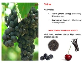 Shiraz
• Keyword:
• France (Rhone Valley): blackberry
& black pepper
• New world: liquorish , blackberry
& black pepper
HIGH TANNIN + MEDIUM ACIDITY
•Full body, medium plus to high tannin,
medium acidity
 