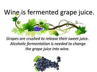 Wine is fermented grape juice.
Grapes are crushed to release their sweet juice.
Alcoholic fermentation is needed to change
the grape juice into wine.
 