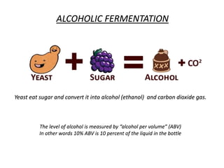 ALCOHOLIC FERMENTATION
Yeast eat sugar and convert it into alcohol (ethanol) and carbon dioxide gas.
The level of alcohol is measured by “alcohol per volume” (ABV)
In other words 10% ABV is 10 percent of the liquid in the bottle
 