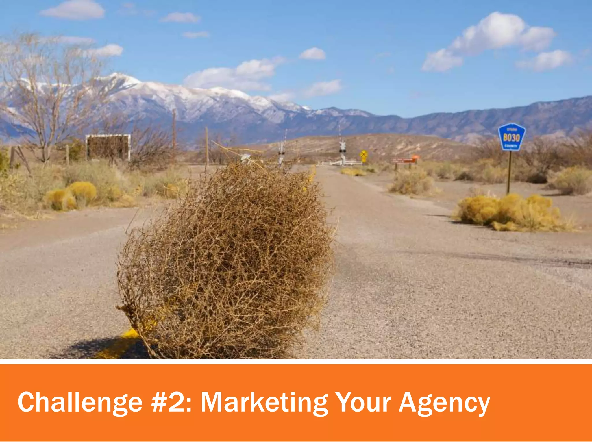 Challenge #2: Marketing Your Agency 
 