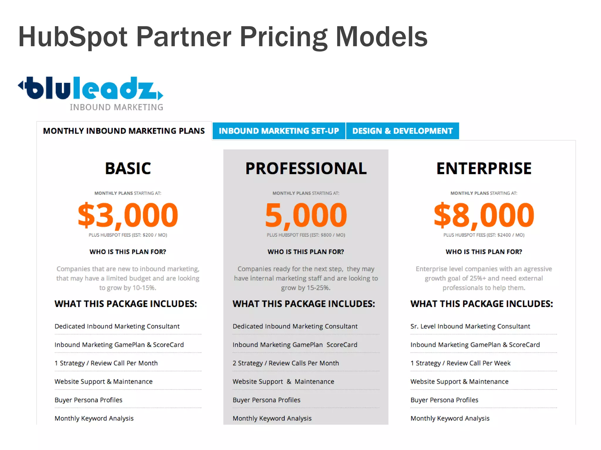 HubSpot Partner Pricing Models 
 