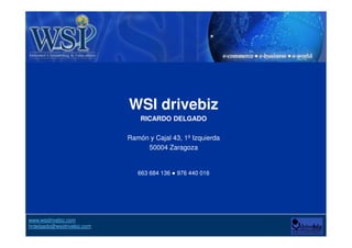 Internet y las interrogantes (objeciones) . WSI drivebiz Slide Básica