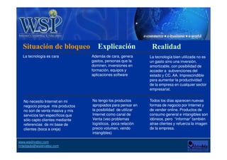 Internet y las interrogantes (objeciones) . WSI drivebiz Slide Básica