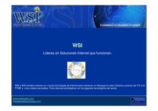 Internet y las interrogantes (objeciones) . WSI drivebiz Slide Básica