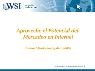 Aproveche el Potencial del  Mercadeo en Internet Internet Marketing System (IMS) WSI - Internet Business Consulting S.A. 