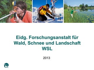 Eidg. Forschungsanstalt für
Wald, Schnee und Landschaft
WSL
2013
 