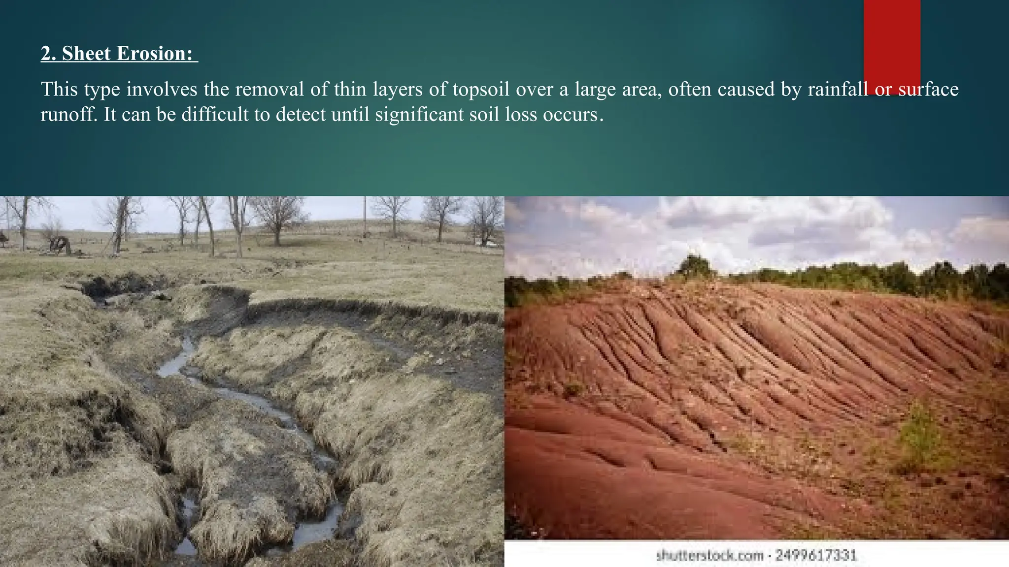 2. Sheet Erosion:
This type involves the removal of thin layers of topsoil over a large area, often caused by rainfall or surface
runoff. It can be difficult to detect until significant soil loss occurs.
 