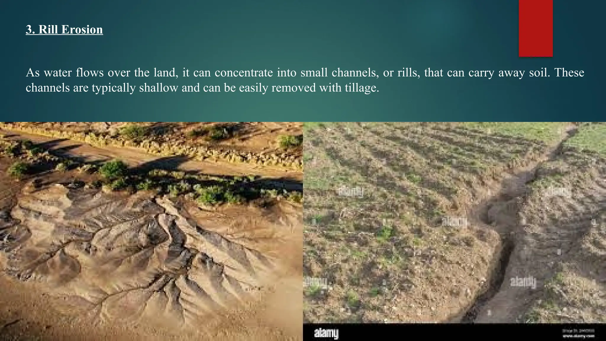 3. Rill Erosion
As water flows over the land, it can concentrate into small channels, or rills, that can carry away soil. These
channels are typically shallow and can be easily removed with tillage.
 