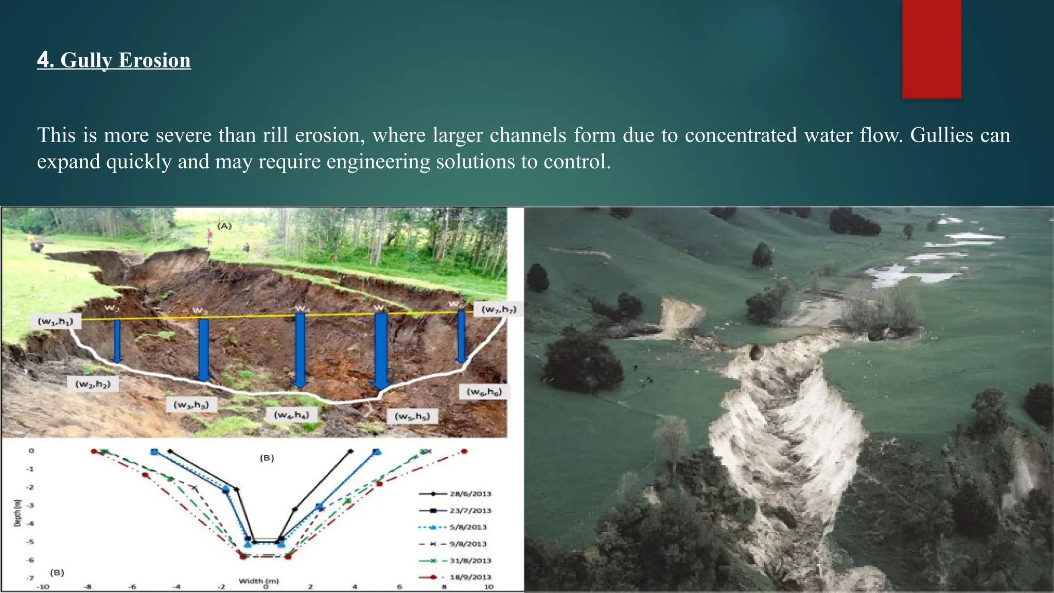 4. Gully Erosion
This is more severe than rill erosion, where larger channels form due to concentrated water flow. Gullies can
expand quickly and may require engineering solutions to control.
 