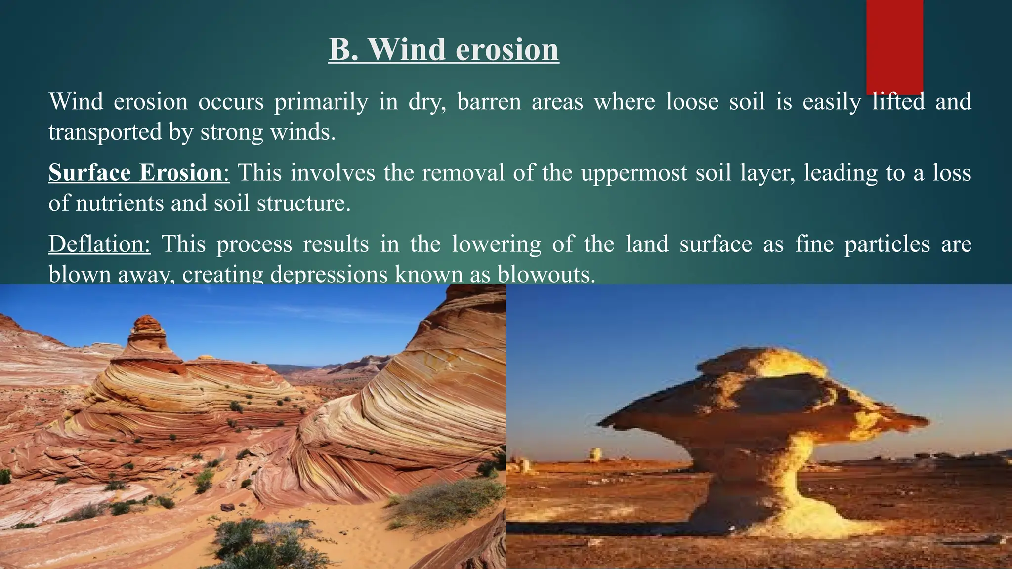 B. Wind erosion
Wind erosion occurs primarily in dry, barren areas where loose soil is easily lifted and
transported by strong winds.
Surface Erosion: This involves the removal of the uppermost soil layer, leading to a loss
of nutrients and soil structure.
Deflation: This process results in the lowering of the land surface as fine particles are
blown away, creating depressions known as blowouts.
 